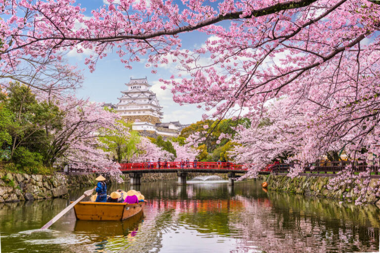SAKURA