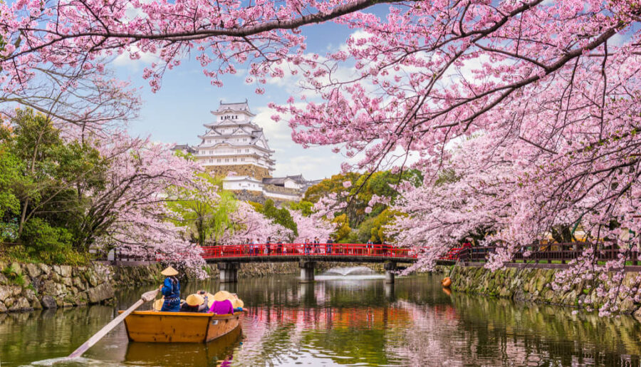 SAKURA
